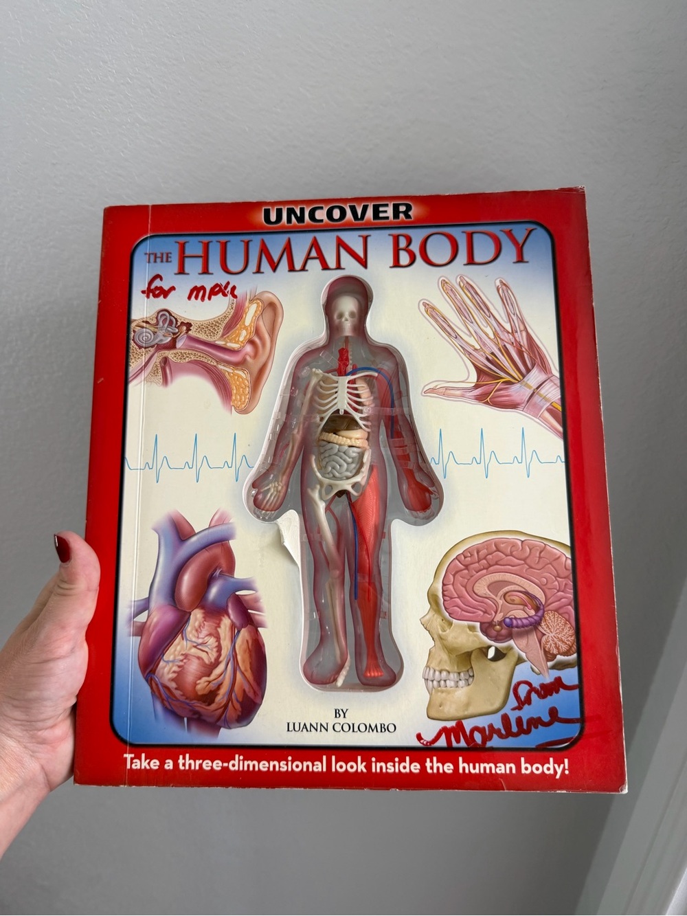 Vintage Human Body Book